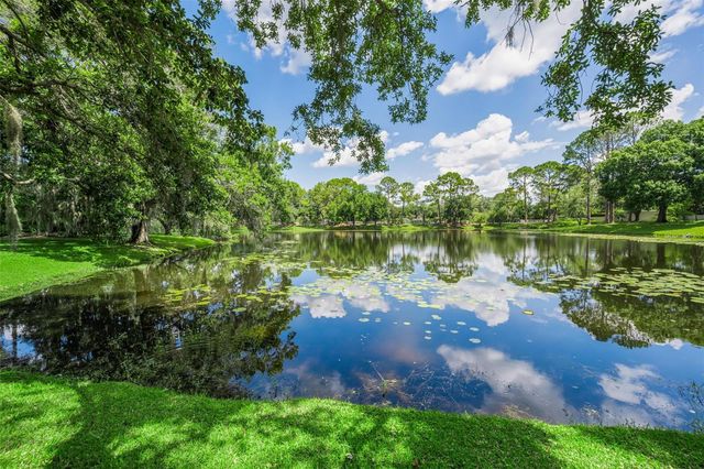 6207 IROQUOIS COURT, Odessa, FL 33556
