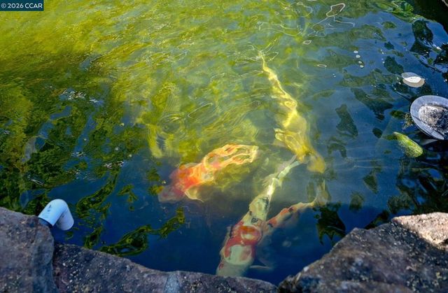 1496 Finley Lane, Alamo, CA 94507