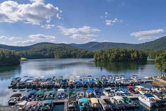 137 Trout Lily Trail, Jasper, GA 30143