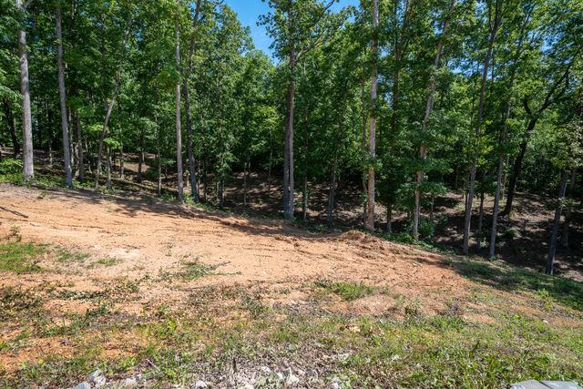 1239 Cherokee Rd, Waynesboro, TN 38485