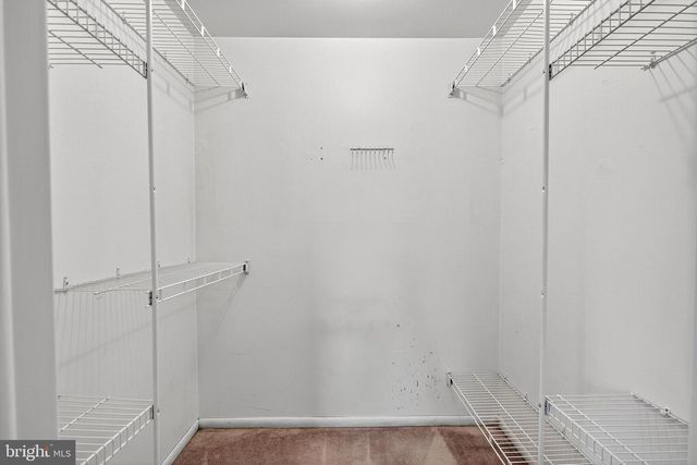 24 THOMAS JEFFERSON BLVD, Newark, DE 19702