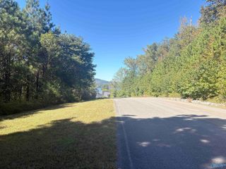 Lot 122 Lookout Mountain Drive, Scottsboro, AL 35769