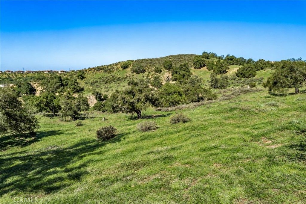 16220 Canyon Hills Road, Chino Hills, CA 91709 — photo 3