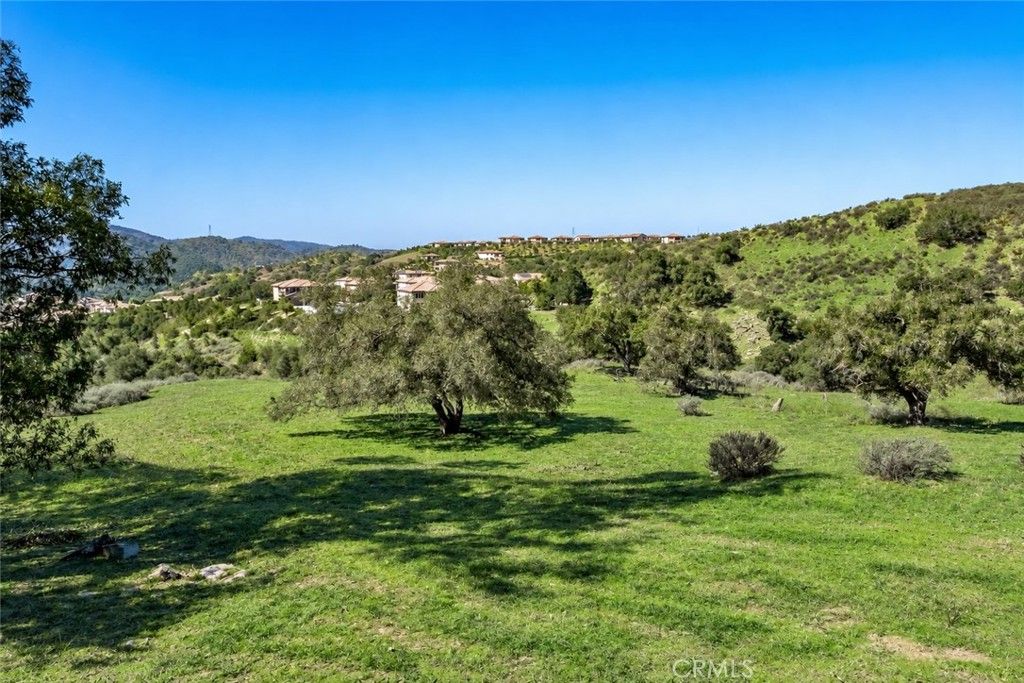 16220 Canyon Hills Road, Chino Hills, CA 91709 — photo 4
