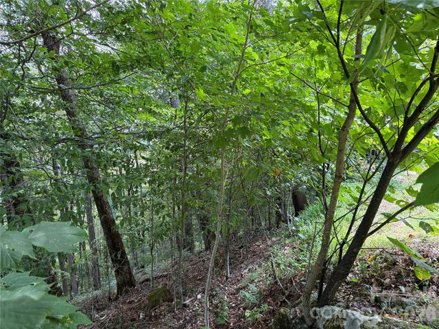 98 Goldenleaf Road, Mars Hill, NC 28754