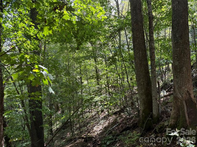 98 Goldenleaf Road, Mars Hill, NC 28754