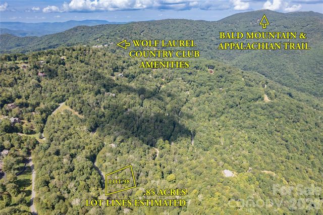 98 Goldenleaf Road, Mars Hill, NC 28754
