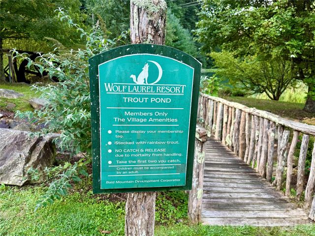 98 Goldenleaf Road, Mars Hill, NC 28754