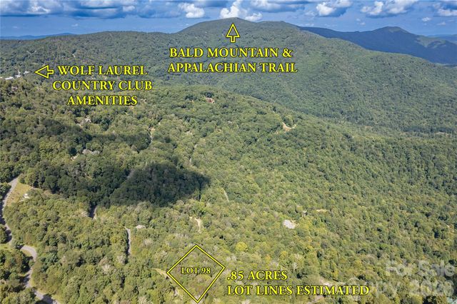 98 Goldenleaf Road, Mars Hill, NC 28754