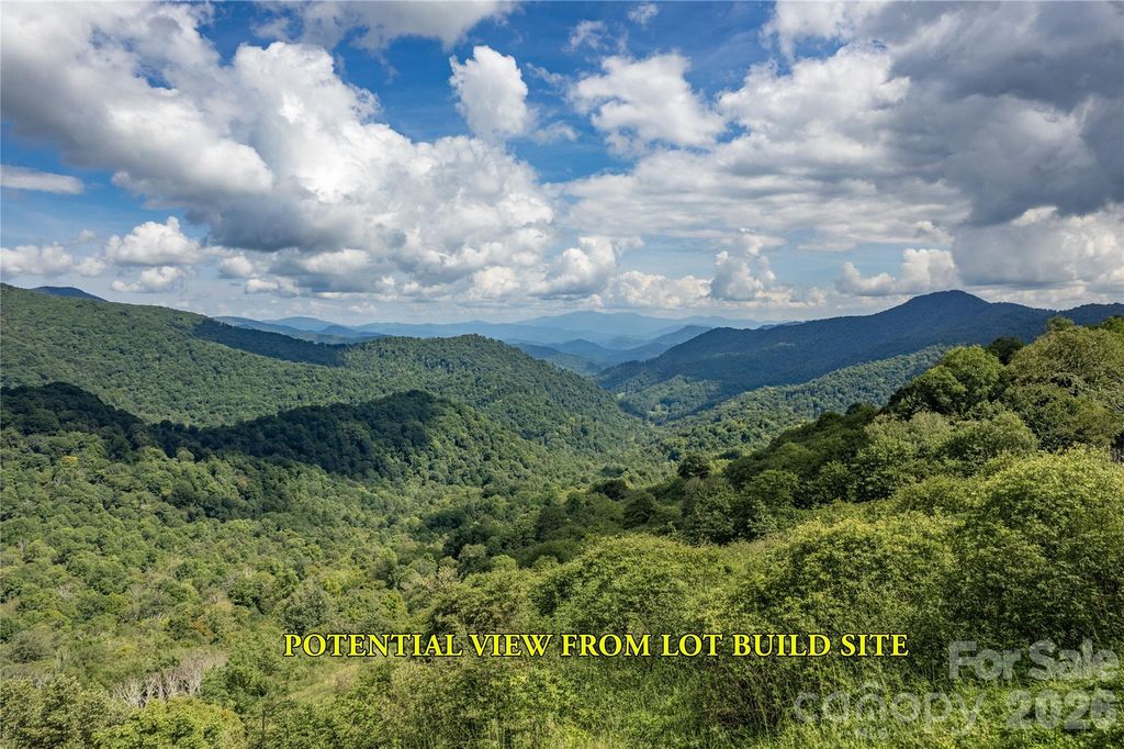98 Goldenleaf Road, Mars Hill, NC 28754