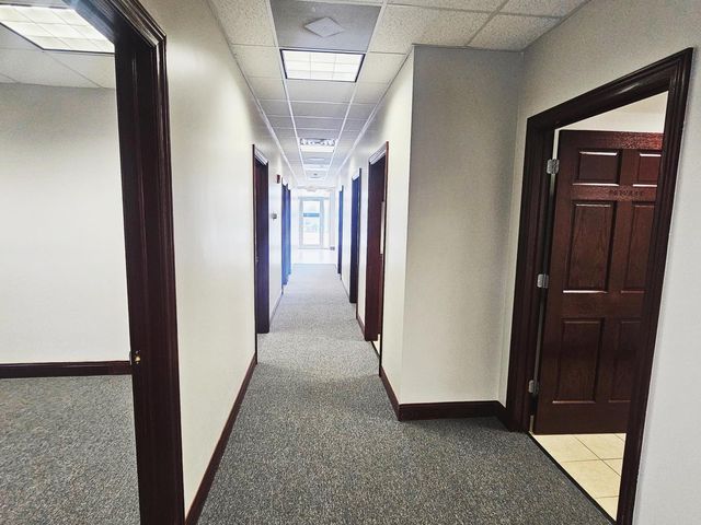 11223 Distinctive Drive, Orland Park, IL 60467