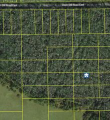 DEEN STILL ROAD E, Polk City, FL 33868
