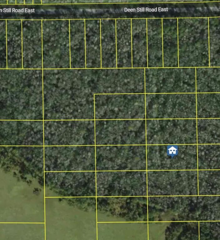 DEEN STILL ROAD E, Polk City, FL 33868