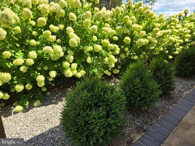 708 MEADOW BROOK LN, Milford, DE 19963