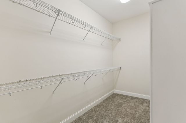 126 Tom Walker Dr, Beechgrove, TN 37018