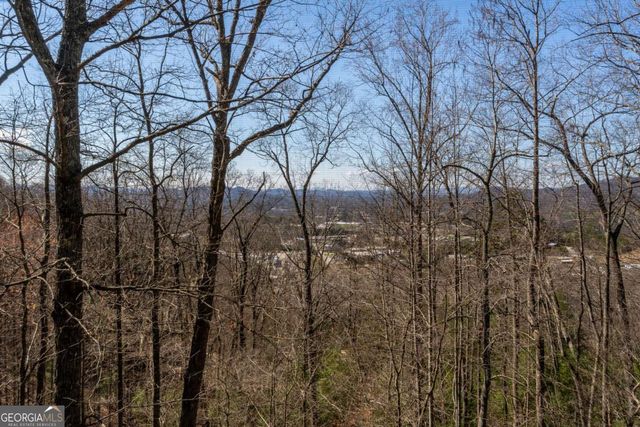 257 AJs Holler, Blairsville, GA 30512