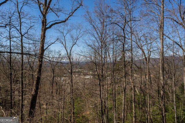 257 AJs Holler, Blairsville, GA 30512