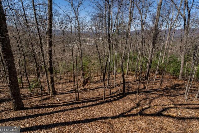 257 AJs Holler, Blairsville, GA 30512