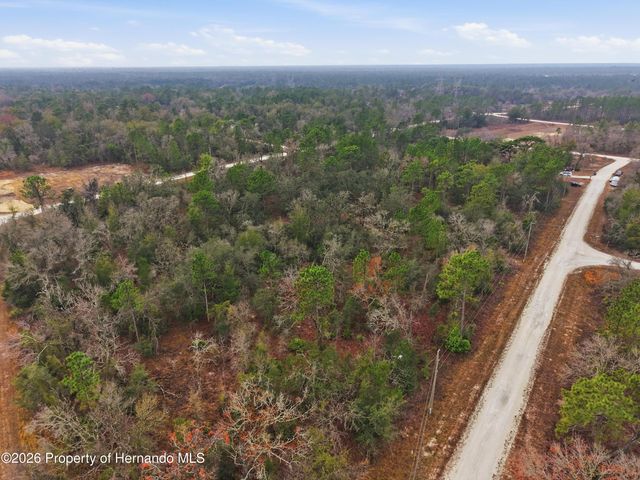 0 Cagarro Road, Weeki Wachee, FL 34614