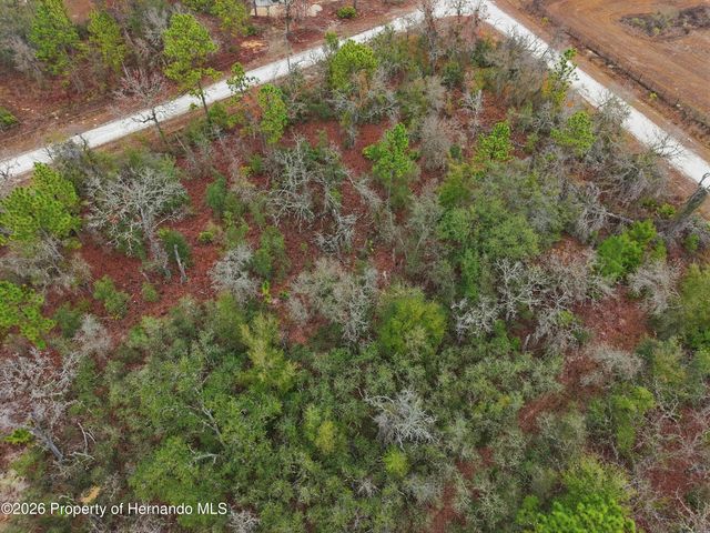 0 Cagarro Road, Weeki Wachee, FL 34614