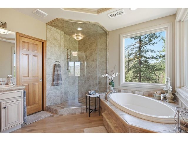 13695 May Long Ct, Pine, CO 80470