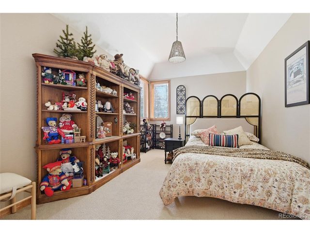 13695 May Long Ct, Pine, CO 80470
