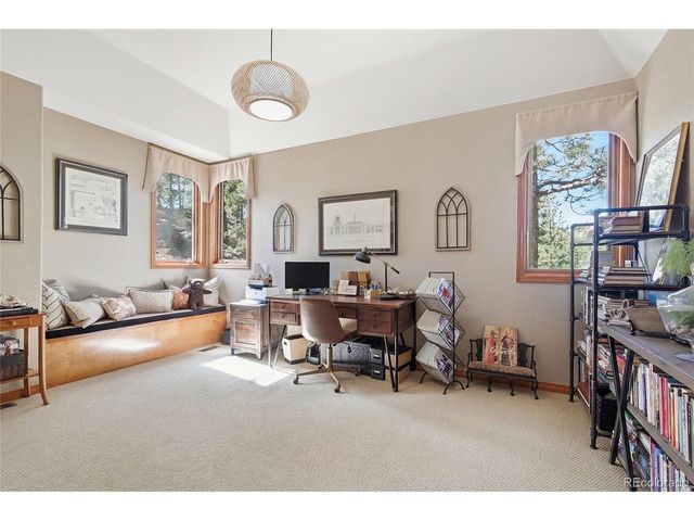 13695 May Long Ct, Pine, CO 80470