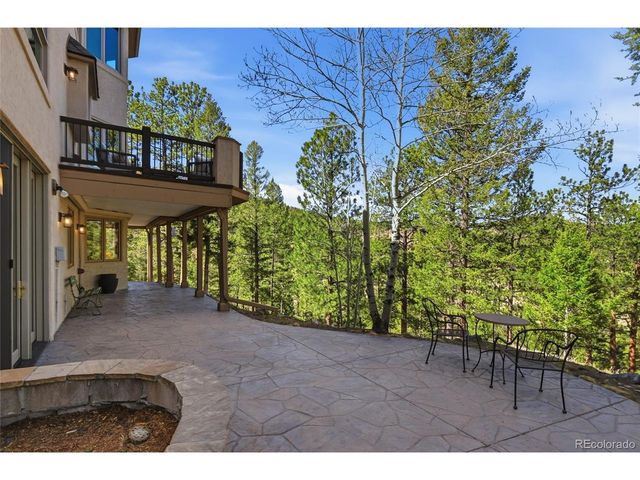 13695 May Long Ct, Pine, CO 80470