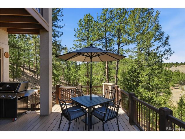 13695 May Long Ct, Pine, CO 80470