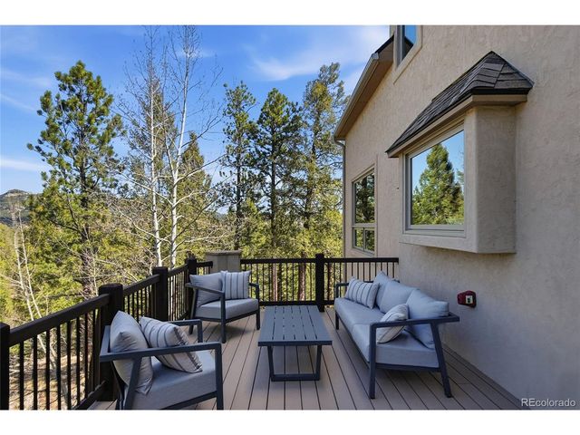 13695 May Long Ct, Pine, CO 80470