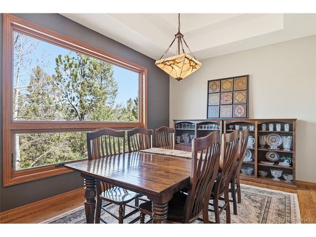 13695 May Long Ct, Pine, CO 80470