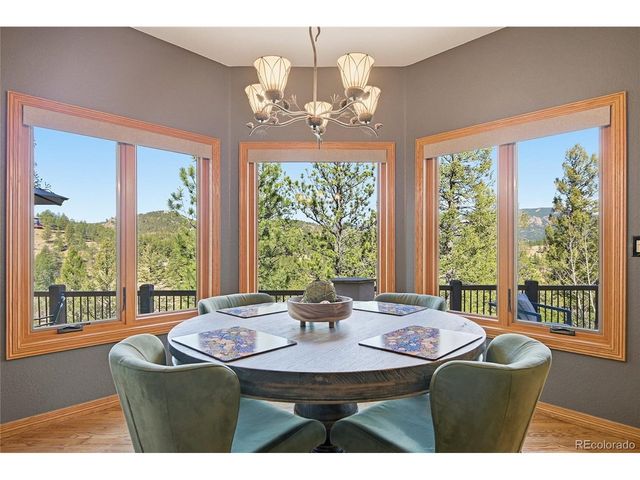 13695 May Long Ct, Pine, CO 80470