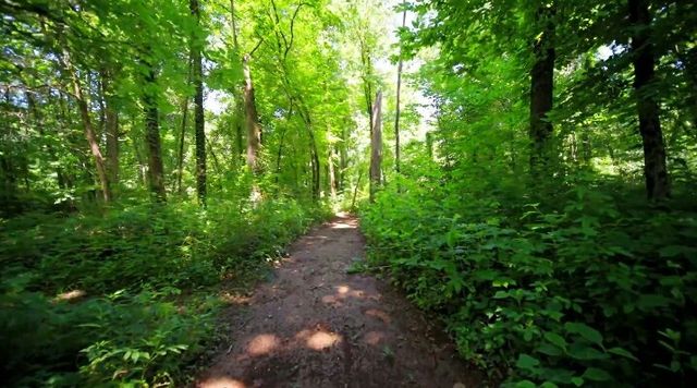 1304 Summer Station Dr, Chapel Hill, TN 37034