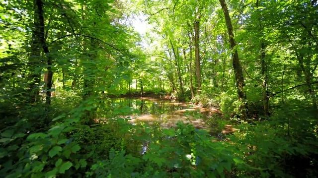 1304 Summer Station Dr, Chapel Hill, TN 37034