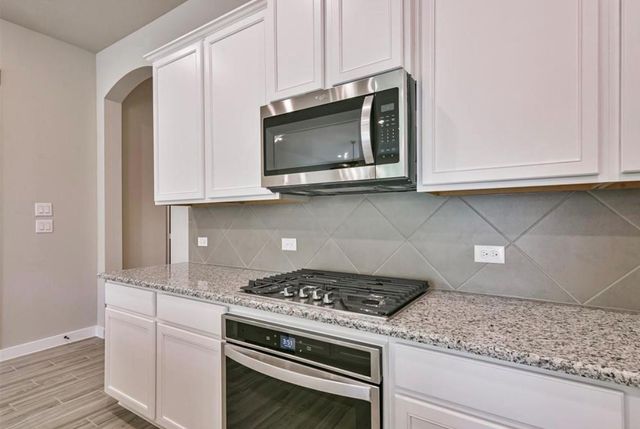 10005 Red Beadtree Pl, Conroe, TX 77385