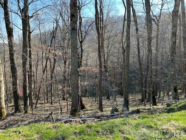 0000 Trillium Lane, Mars Hill, NC 28754