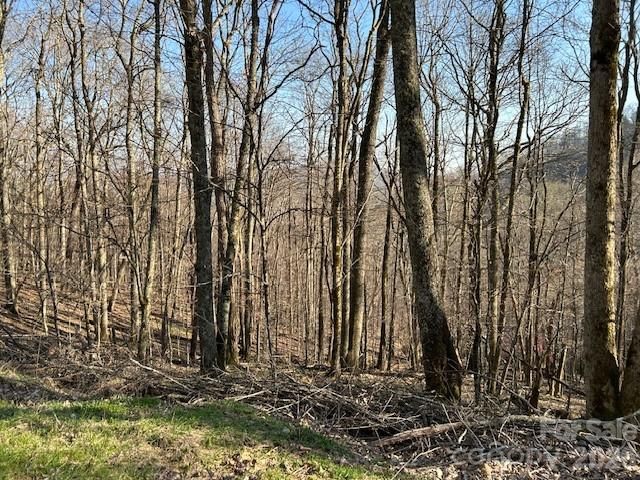 0000 Trillium Lane, Mars Hill, NC 28754