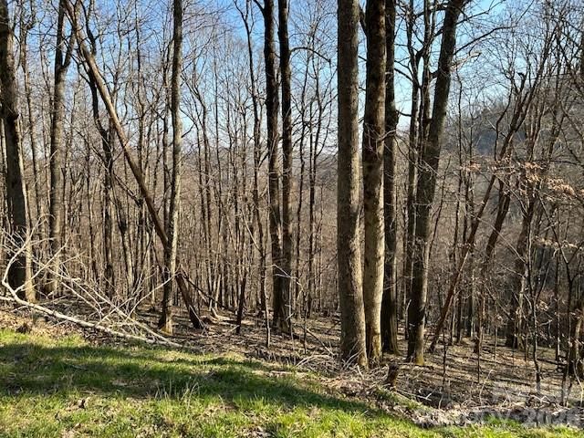 0000 Trillium Lane, Mars Hill, NC 28754
