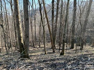 0000 Trillium Lane, Mars Hill, NC 28754
