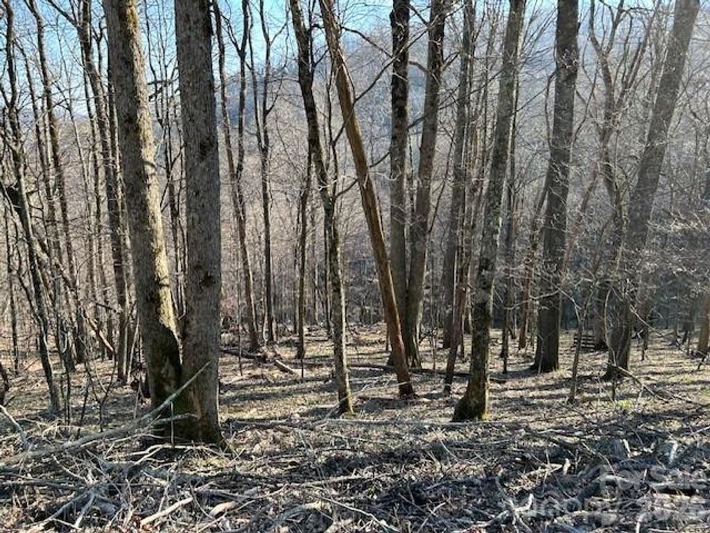 0000 Trillium Lane, Mars Hill, NC 28754