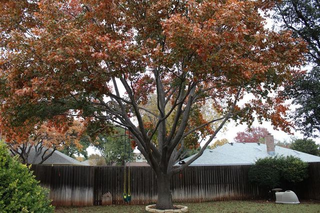 3410 Clearview Drive, San Angelo, TX 76904