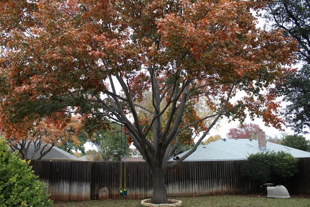 Image 39 of property listing at 3410 Clearview Dr, San Angelo, TX 76904