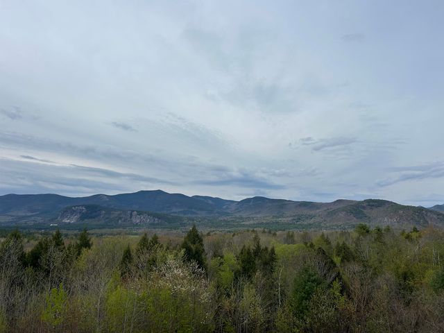 D37 Eagle Ridge Road D37, Bartlett, NH 03812