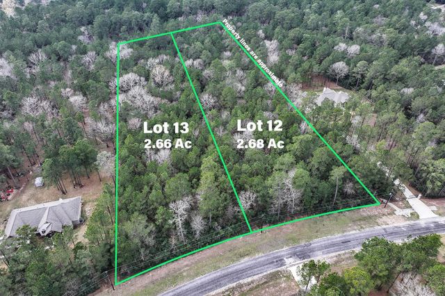 Lot 13 Chisholm Trail, Huntsville, TX 77340