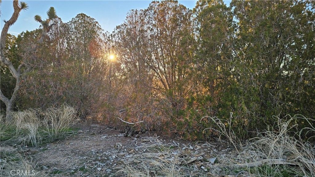 Image 55 of property listing at 49019 120th Street E, Lancaster, CA 93535