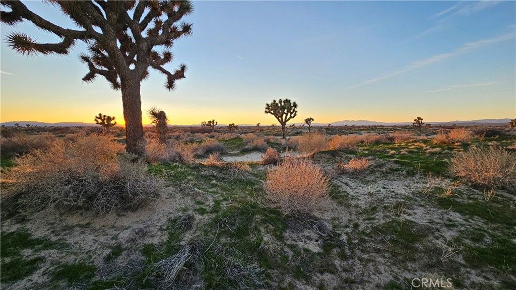 Image 64 of property listing at 49019 120th Street E, Lancaster, CA 93535