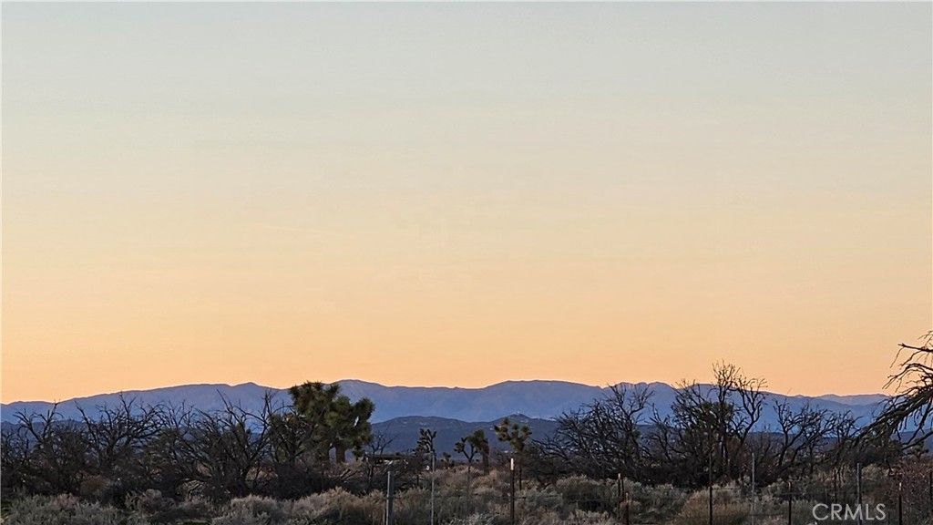 Image 66 of property listing at 49019 120th Street E, Lancaster, CA 93535