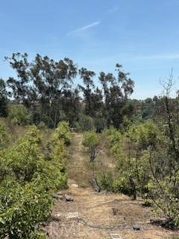 14097 Pauma Vista Drive, Valley Center, CA 92082
