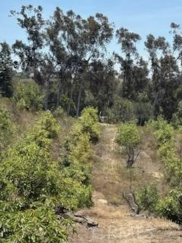14097 Pauma Vista Drive, Valley Center, CA 92082