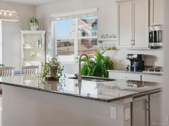 1229 Argali Drive, Severance, CO 80550